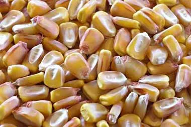 МАРТ установлены квоты на ввоз отдельных товаров для посева