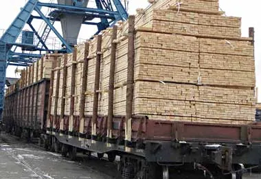 БУТБ готова нарастить поставки белорусских пиломатериалов на рынок России