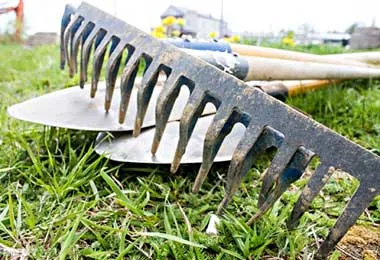 Минприроды предлагает обсудить вопросы наведения порядка на земле