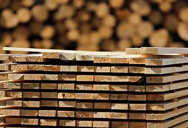 Минлесхоз усовершенствовал порядок реализации лесоматериалов для населения