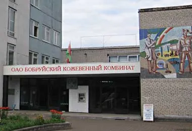 Бобруйский кожзавод повторно выставлен на аукцион