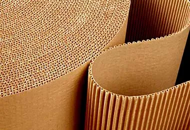 Новый завод по производству картона введен в эксплуатацию в Добруше