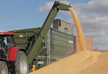 В Беларуси ежегодно уменьшается число убыточных сельхозпредприятий — вице-премьер