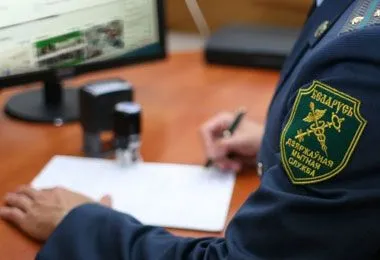 Отдельные вопросы таможенного регулирования планируют изменить в Беларуси