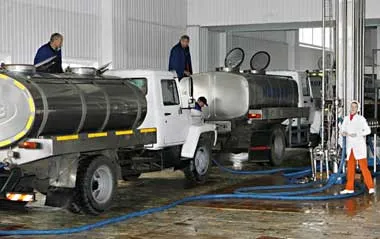 На трех торговых сессиях было реализовано 135 тонн молока.