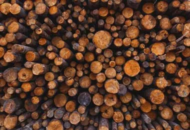 КГК отмечает увеличение складских остатков древесины в организациях Минлесхоза