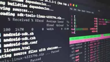 Разработчики ПО в России добавляют поддержку Linux из-за ухода Microsoft
