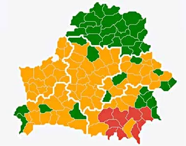 Запреты и ограничения на посещение лесов действуют уже в 80 районах Беларуси