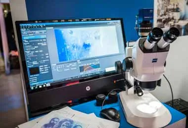 Гипросвязь оценит уровень цифровизации 14 отраслей белорусской экономики