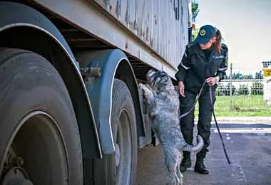 Порядка 90 кг наркотиков изъяла белорусская таможня в I полугодии 2020 г