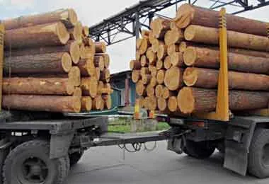 Отдельные правила транспортировки древесины планируют изменить в Беларуси