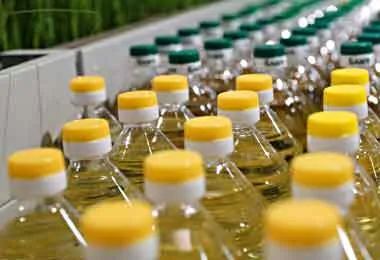 Ключевые направления развития масложировой отрасли одобрены в ЕАЭС