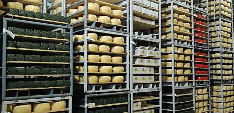 belcheese.jpg belcheese.jpg