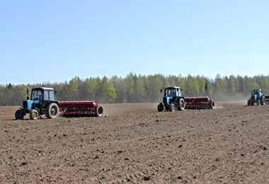 Вышел новый обзор по сельскому хозяйству Беларуси в 2020 г 