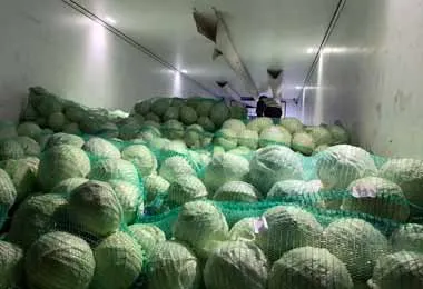 Незаконный вывоз сахара и капусты из Беларуси пресекли белорусские таможенники