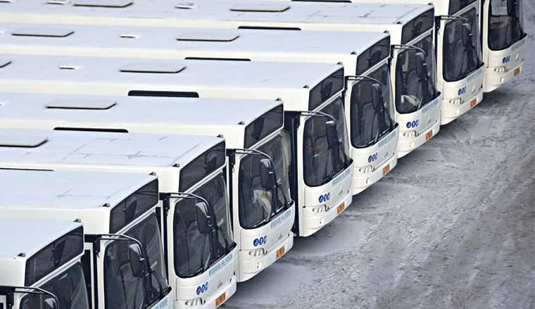 maz_lipeck.jpg