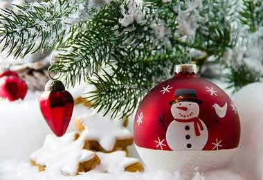 Правительство определило сроки проведения новогодней благотворительной акции «Наши дети»