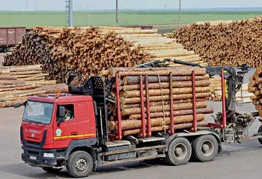 Правительство определило объемы реализации древесины вне биржевых торгов в 2026 г