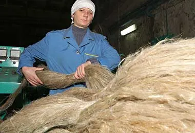 Лицензирование экспорта льноволокна снова вводится в Беларуси