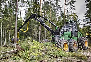 Харвестер АМКОДОР 2551 в работе. Харвестер АМКОДОР 2551 в работе.