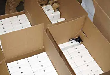 Незаконный ввоз гаджетов и музыкальных инструментов предотвращен белорусской таможней